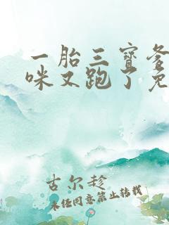 一胎三宝爹地妈咪又跑了免费阅读全文