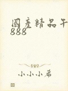国产精品午夜8888
