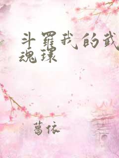 斗罗我的武魂是魂环