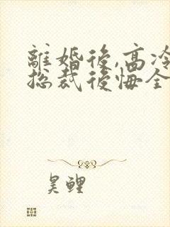 离婚后,高冷女总裁后悔全本