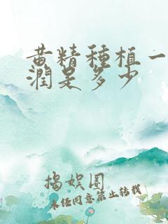 黄精种植一亩利润是多少