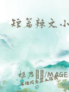 短篇辣文小说h
