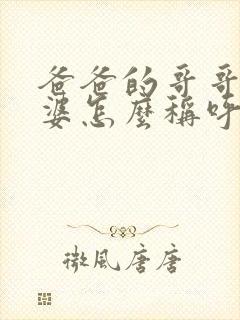 爸爸的哥哥的老婆怎么称呼