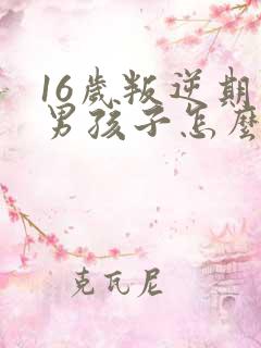 16岁叛逆期的男孩子怎么管