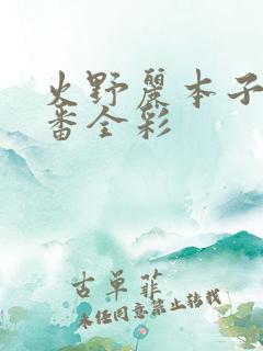 火野丽本子h里番全彩