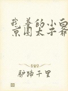 我养的小白脸是京圈太子爷 短剧