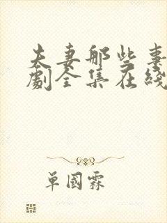 夫妻那些事电视剧全集在线观看