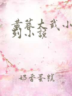 黄蓉大武小武系列小说