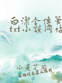 白洁全传笔趣阁txt小说网站
