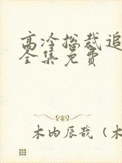 高冷总裁追妻忙全集免费