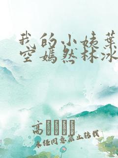 我的小姨叶凡司空嫣然林冰