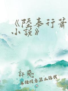 《陆奉行萧念窈小说》