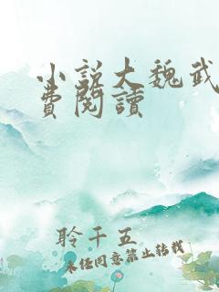 小说大魏武霸免费阅读