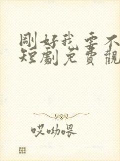 刚好我要不爱你短剧免费观看
