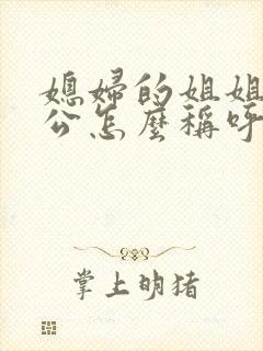 媳妇的姐姐的老公怎么称呼