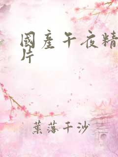 国产午夜精品大片