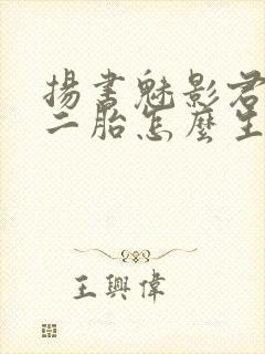 扬书魅影君书影二胎怎么生的