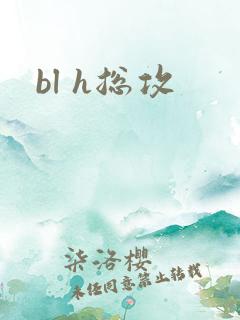 bl h总攻