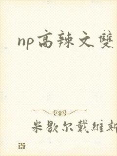 np高辣文双性