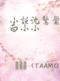 小说沈惊觉女主白小小