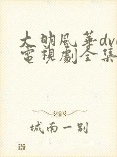 大明风华dvd电视剧全集免费观看
