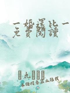 一婚还比一婚高免费阅读