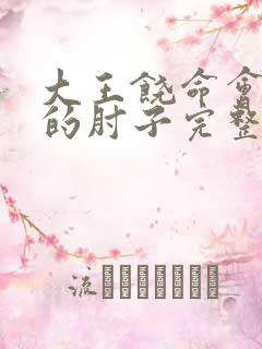 大王饶命会说话的肘子完整下载