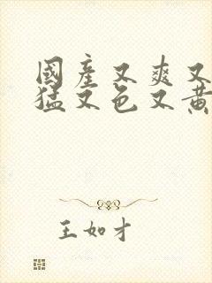 国产又爽又粗又猛又色又黄高清
