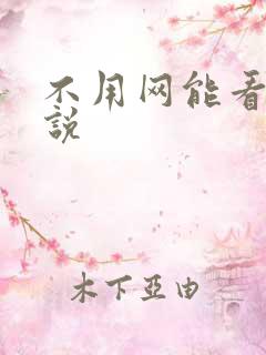 不用网能看的小说