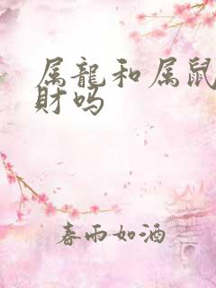 属龙和属鼠的合财吗