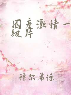 国产激情一级a级片