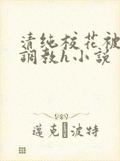 清纯校花被地狱调教h小说
