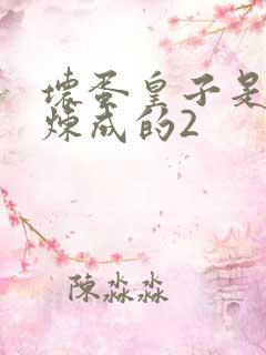 坏蛋皇子是怎样炼成的2