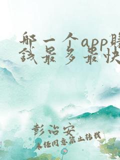哪一个app赚钱最多最快