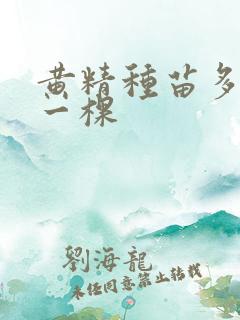 黄精种苗多少钱一棵