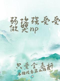 弱攻强受受把攻做哭np