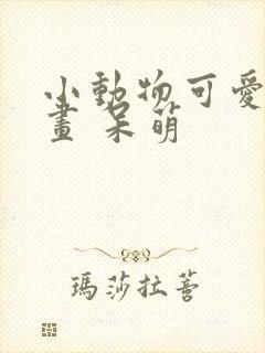 小动物可爱简笔画 呆萌