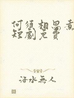 何须相思煮余年短剧免费