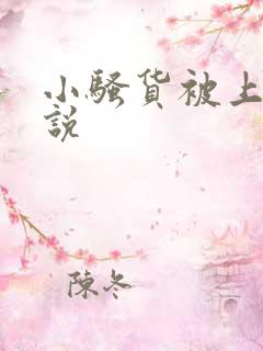 小骚货被上的小说