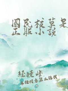 国民校草是女生正版小说