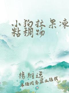 小狗拉果冻状的粘稠物