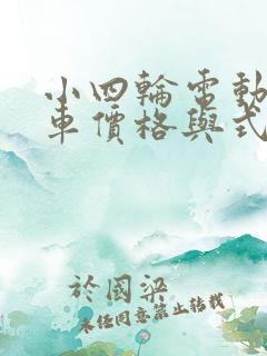 小四轮电动小货车价格与式样