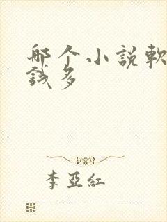 哪个小说软件赚钱多