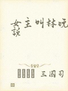 女主叫林晚的小说