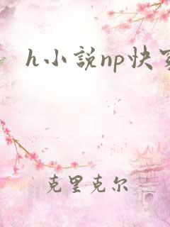 h小说np快穿