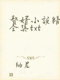 赘婿小说精校版全集txt
