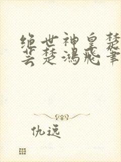 绝世神皇楚风楚芸楚鸿飞笔趣阁