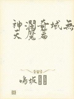 神澜奇域无双珠天魔篇