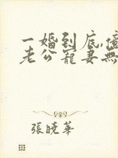 一婚到底,亿万老公宠妻无度