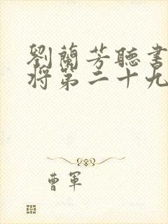 刘兰芳听书杨家将第二十九集